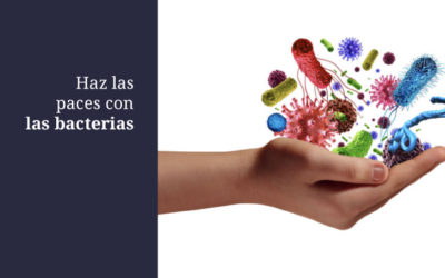 Hay que hacer la paz con las bacterias
