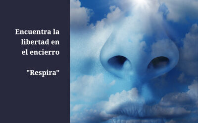 Encuentra Libertad en el Encierro