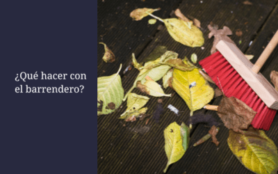 ¿Qué hacer con el barrendero?